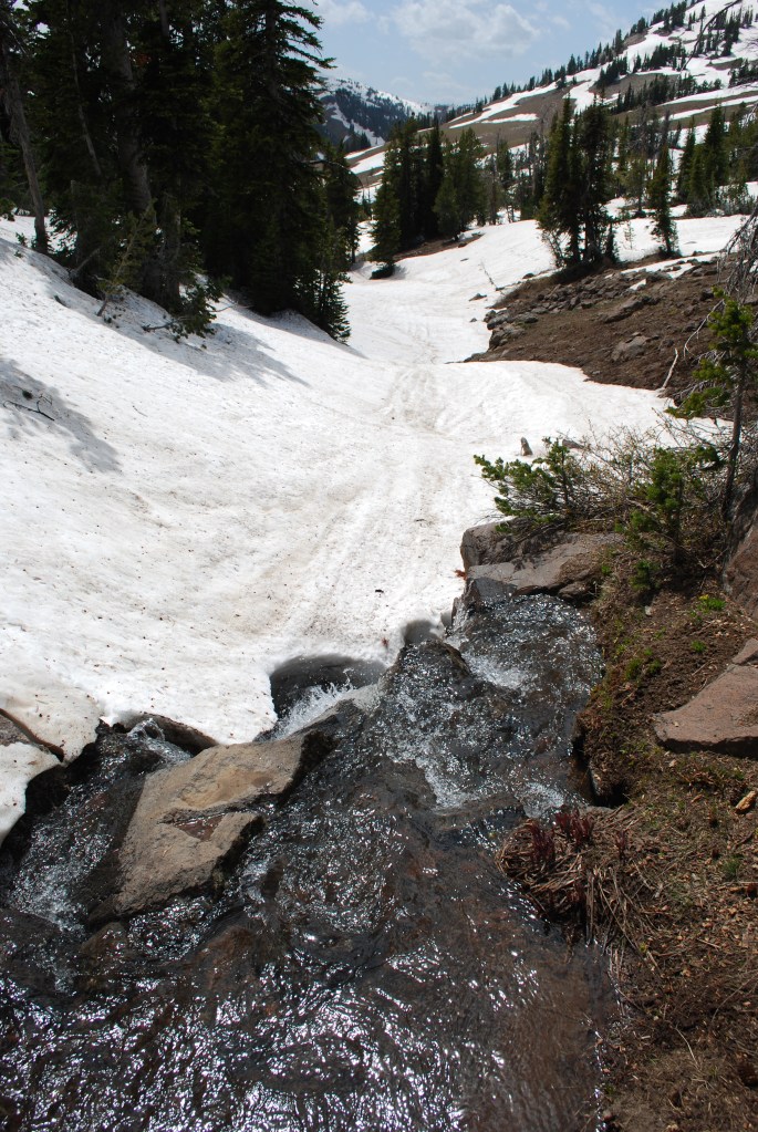 Looking down from the spring in June 2012.  Undoubtedly, April will have a LOT more snow. -by Rod Wellington