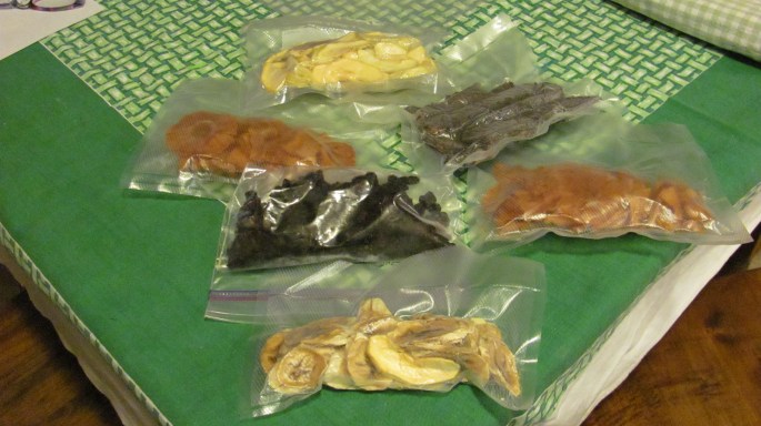 Samplings of my first round of drying foods.