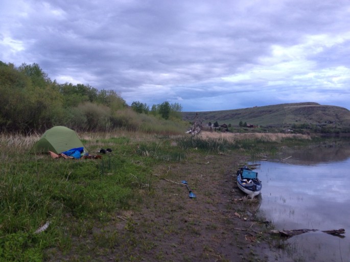 That night I tried to paddle to the Corp of Discovery Canoe Camp. Turns out it was covered with homes. That is okay, I found a spot at dark and slept on a bed of mint. Soggy but no Mosquitos, and rather fragrant.