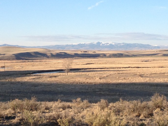 And, another view from the cabin.