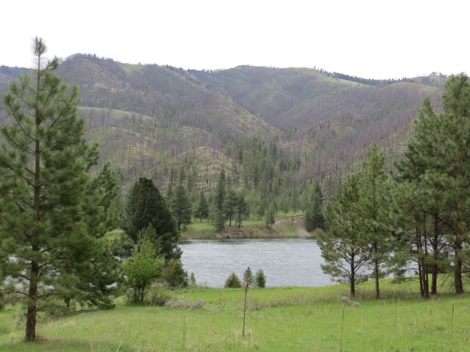I ended finding a fantastic campsite in the trees on the left. Right across the river is Fields Gulch where Lewis and his party camped on July 19. 1805.