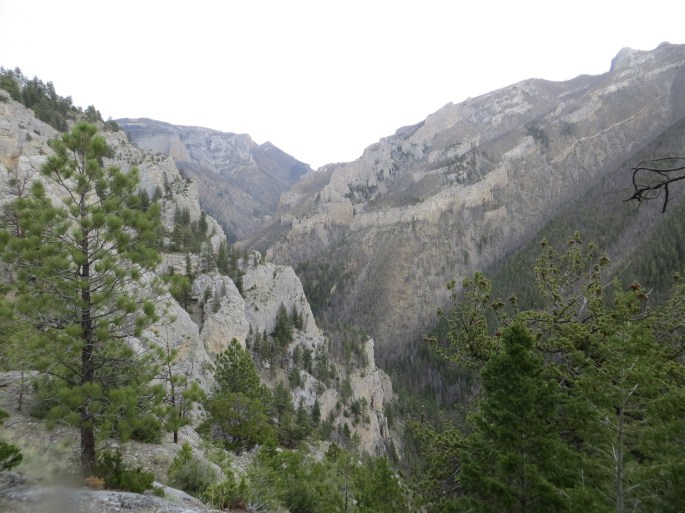 Incredible vista where I stopped on the way down and took some photos. This is the reason the area is called Gates of the Mountains. These are some incredible mountains.