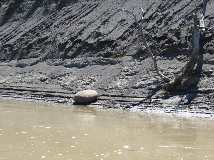 This smooth oval rock struck me as peculiar sitting at the base of a dark muddy-looking hillside.