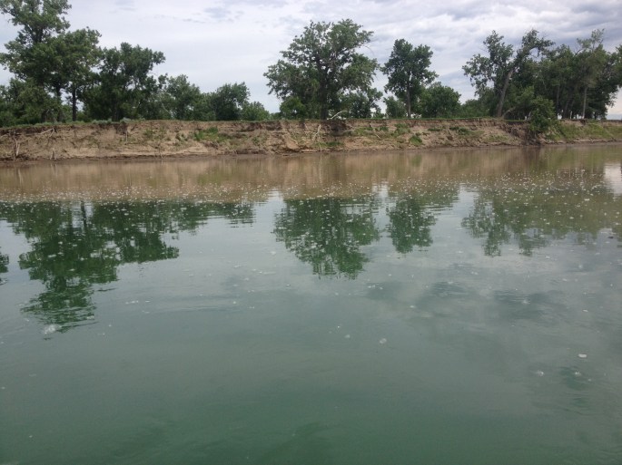 Contrast in water after the Milk River enters the Missouri River
