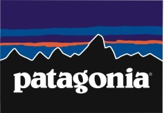 patagonia_logo