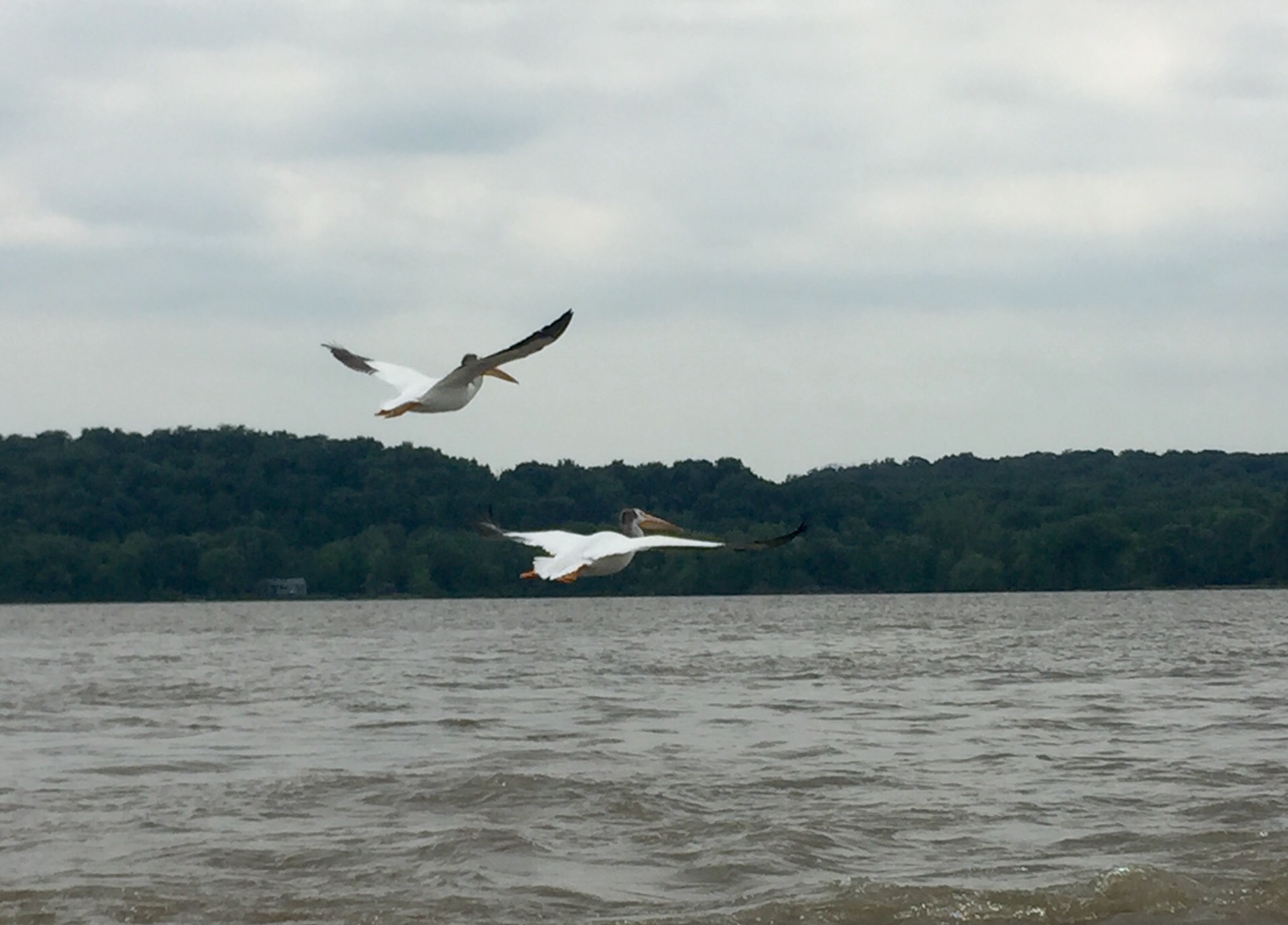 ...until they decided they had had enough. All good!