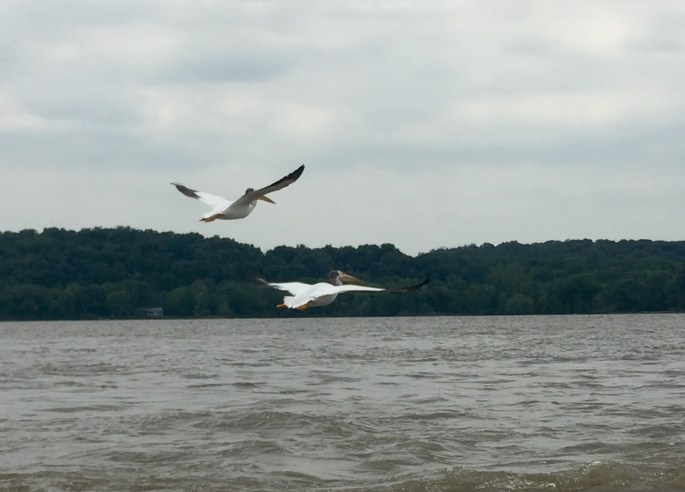 ...until they decided they had had enough. All good!